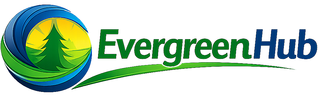 Evergreen Hub Ltd - Expert Auto Care and Diagnostics